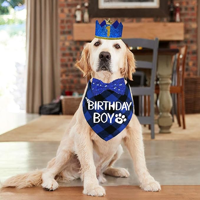 STMK Dog Birthday Party Supplies