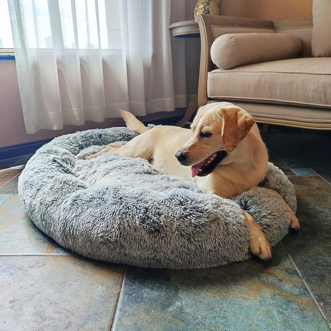 Coohom Oval Calming Donut Cuddler Dog Bed Bed(30"/36"/43") for (XXL(43"x34"x8"), Grey)