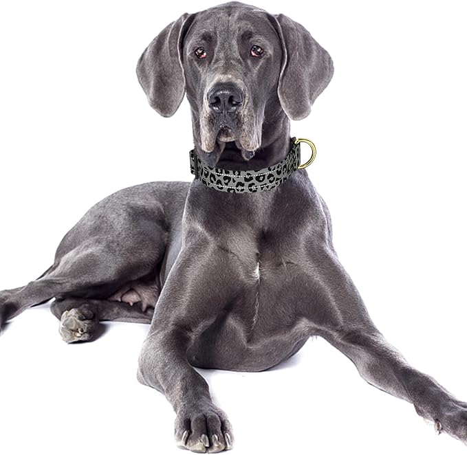 Reflective Dog Collar