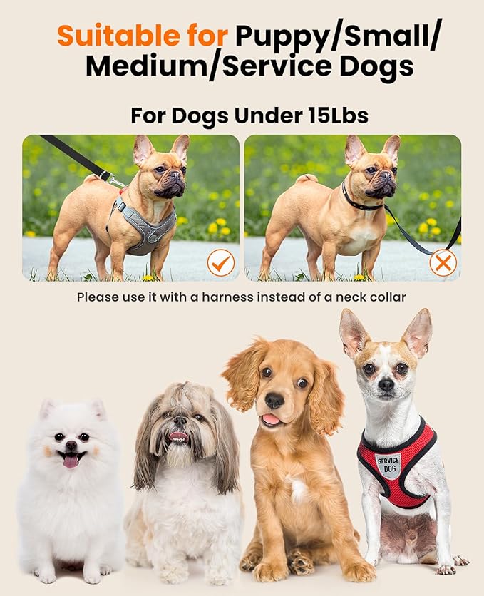 oneisall Hands Free Dog Leash 4-7ft Nylon