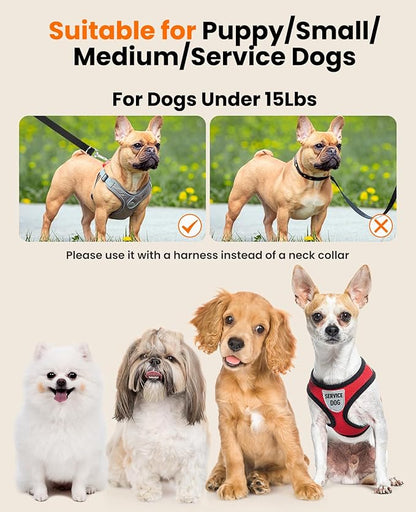 oneisall Hands Free Dog Leash 4-7ft Nylon