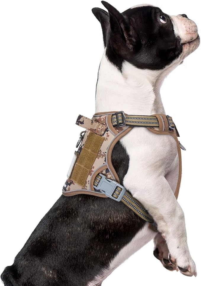 BUMBIN Tactical Dog Harness for Small Dogs No Pull