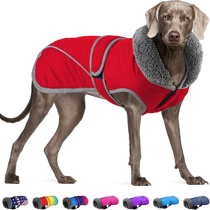 Dogcheer Dog Coat