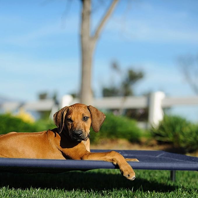 Veehoo Cooling Elevated Dog Bed CWC1803-L