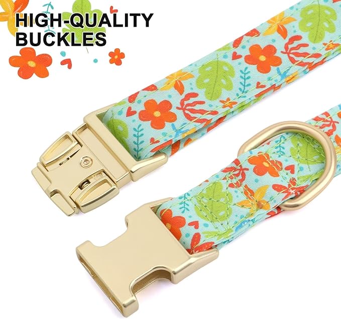 Beirui Cute Girl Dog Collars for Female Dogs