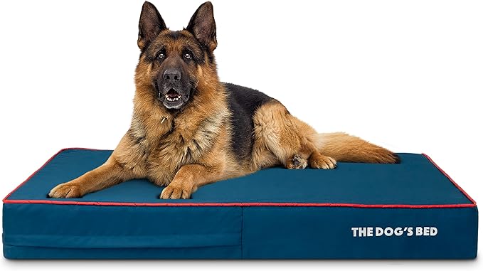 The Dog’s Bed Orthopedic Memory Foam Dog Bed 46x28, Pain