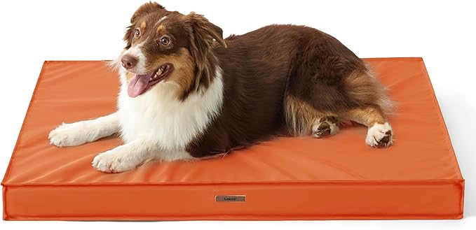 Lesure Waterproof Dog Bed for Medium Dogs