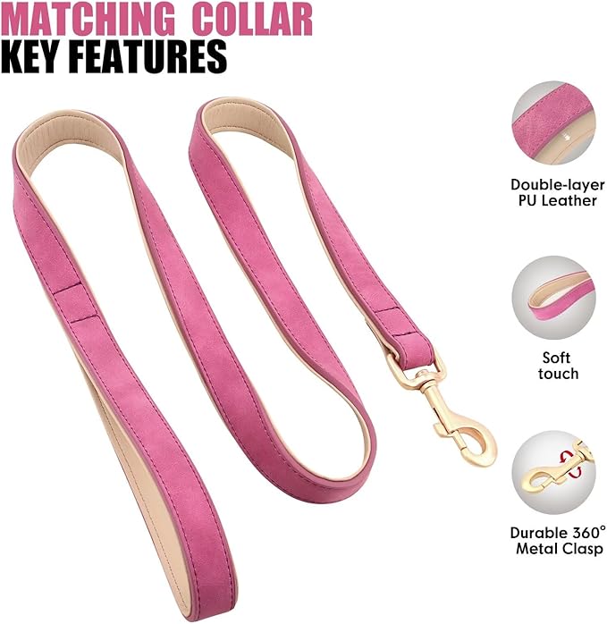 Beirui Soft Padded Leather Dog Collar and Leash Set 4FT Leather