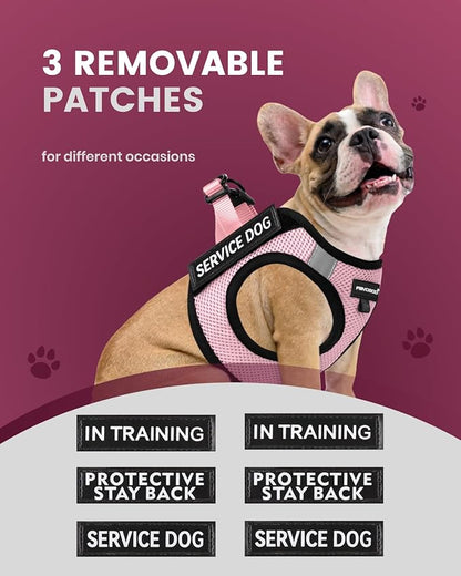 FAYOGOO Service Dog Vest for Small Breed - Lightweight Dog Harness with 6PCS Removable Patches - Puppy Harness and Leash Set for Walking,Training