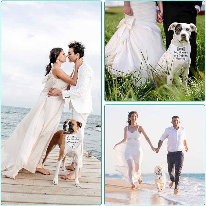 Blank Dog Bandanas Small -3PCS