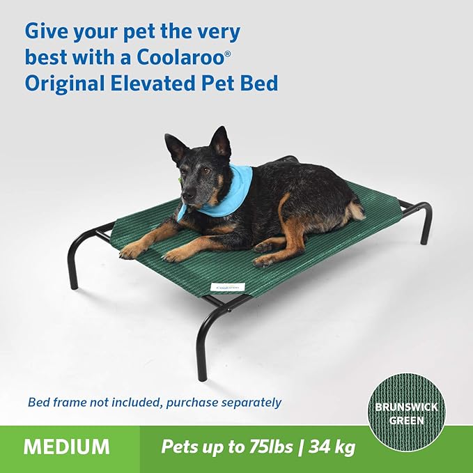 Original Pet Bed Replacement Cover - Brunswick Green - Medium (35" x 25.5")