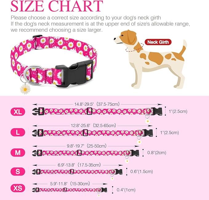 BiPawTi Dog Collars
