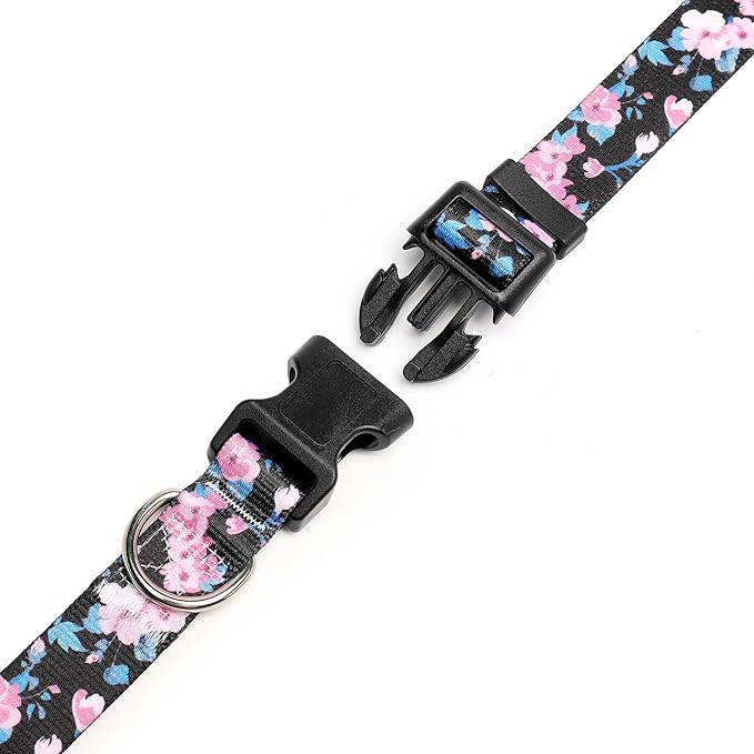 Adjustable Dog Collar with Patterns
