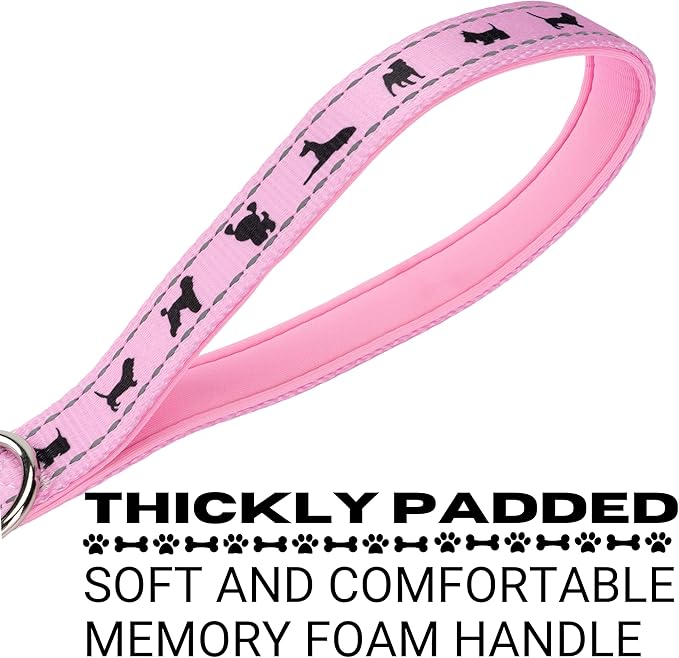 EcoBark Dog Leash - 4 FT / 5 FT / 6 FT Reflective Dog Leash- Eco-Bright Dog Leashes with Padded Handle - Strong Heavy Duty Dog Leash - Nylon Dog Leash for Medium and Large Dogs (Baby Pink Dog Leash)