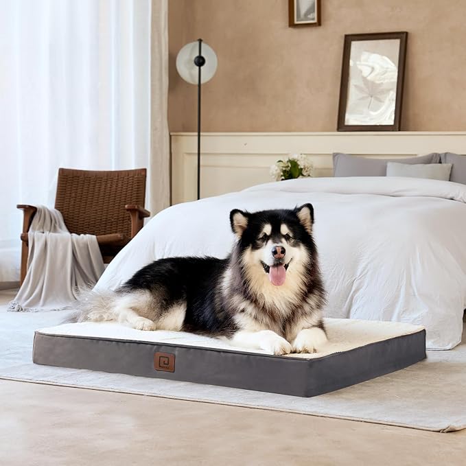 EHEYCIGA Orthopedic XL Dog Beds for Extra Large Dogs with Removable Washable Cover 44x32