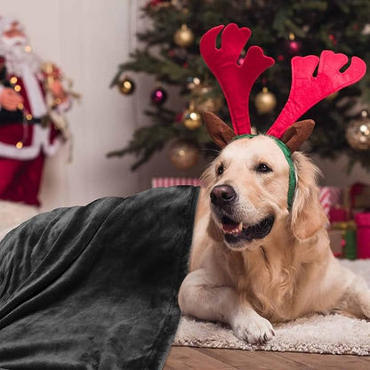 Large Dog Blanket-50 x 60" Soft Fleece Dog Blanket for Large Dog Washable