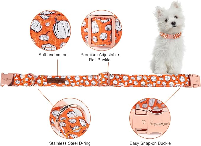 Unique style paws Dog Collar Metal Buckle Collar