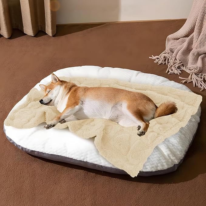 MACEVIA Fluffy Fleece Dog Blankets (24x29 Inch,Cream)