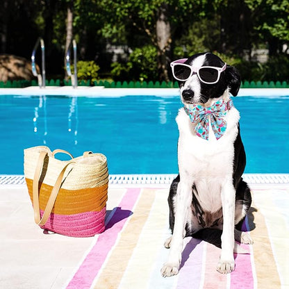 Maca Bates Summer Dog Collar with Fruit Icecream