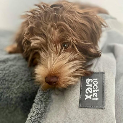 rocket & rex Large Waterproof Dog Blankets for Dogs