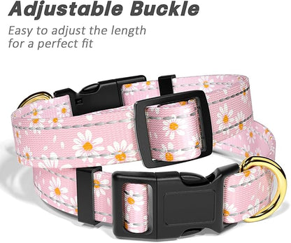 Reflective Dog Collar