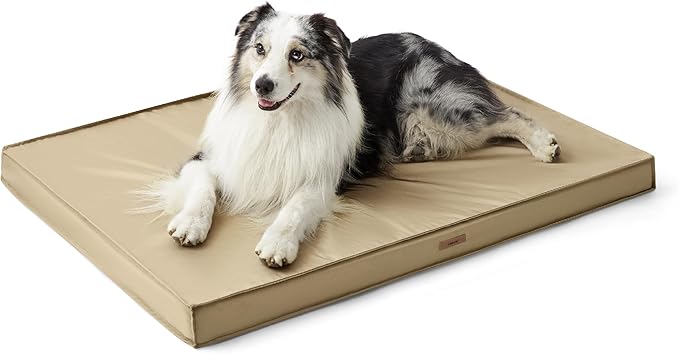 Lesure Outdoor Waterproof Dog Beds for Large Dogs
