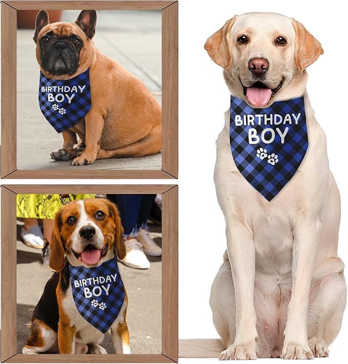 Birthday Boy Dog Bandana Dog Birthday Boy Bandana