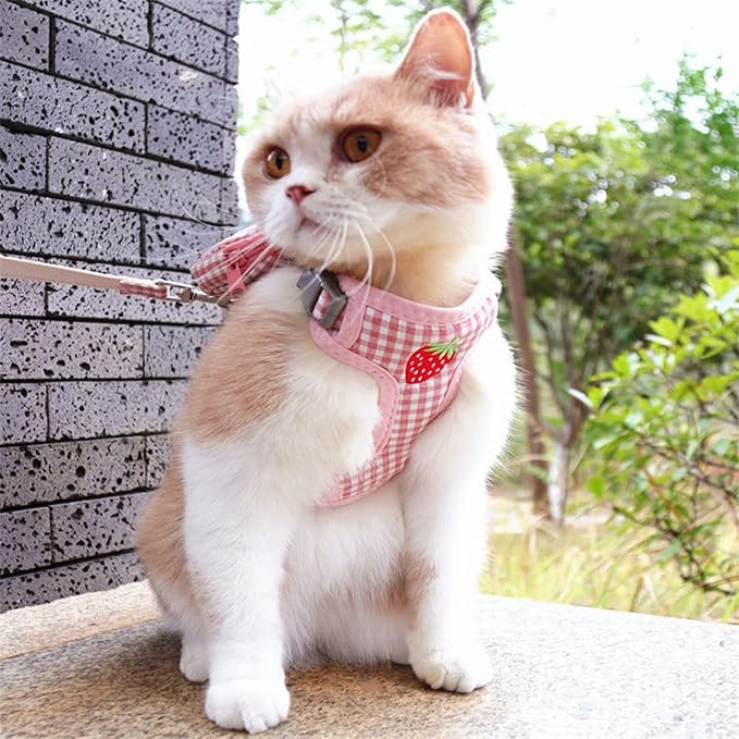 Pet Backpack Harness with Leash Set 1 Pack