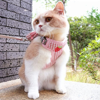 Pet Backpack Harness with Leash Set 1 Pack