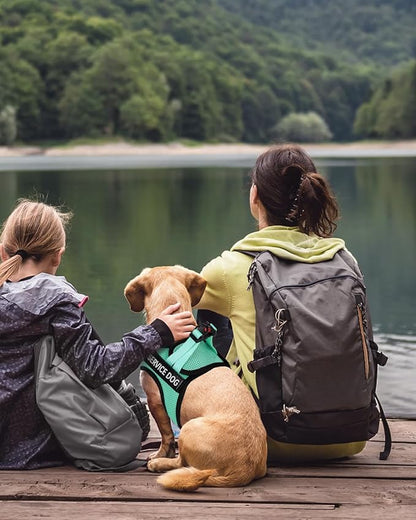 FAYOGOO Service Dog Vest for Medium Breed - Lightweight Dog Harness with 6PCS Removable Patches - Puppy Harness and Leash Set for Walking,Training