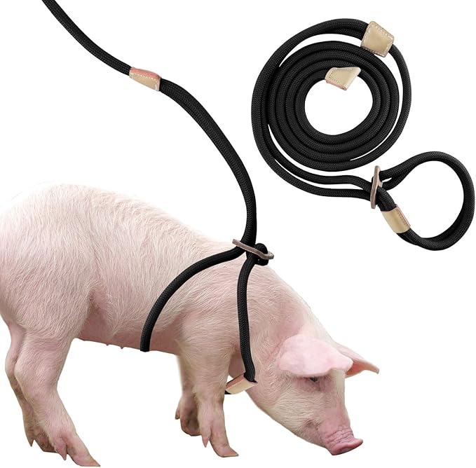 Mini Pig Harness & Leash, Adjustable 8 Feet Long Rope for Small to Medium Pet Pigs