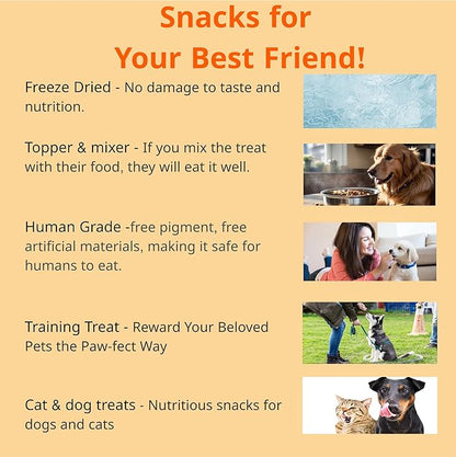 Puppyluv Salmon Fish Treats | Natural Freeze Dried Dog & Cat Treats | Training Treats for Dogs | Rich with Fish Oil for Dogs | All Breeds & Sizes