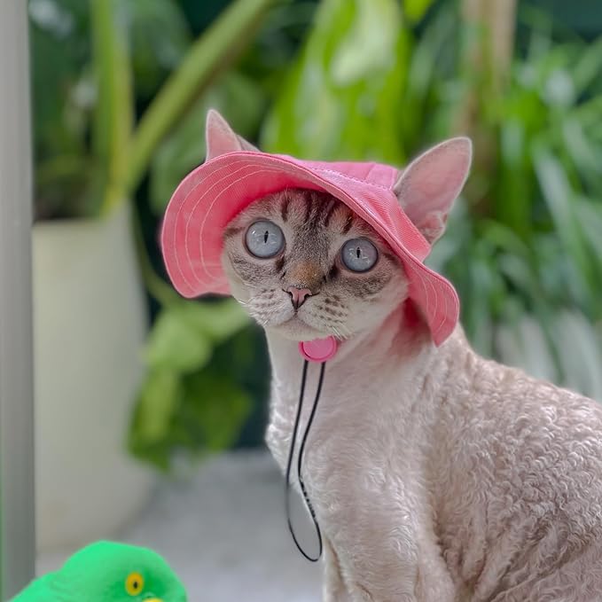 Pet hat with Ear Holes Sunscreen Baseball Cap Suitable for Small and Medium-Sized Dogs Outdoor Climbing hat in Summer Pet Products (Small