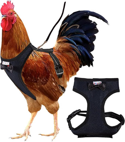 Chicken Harness Hen Size with 6ft Matching Leash – Adjustable, Resilient, Comfortable, Breathable, Large, Suitable for Chicken Weighing About 6.6 Pound,Black