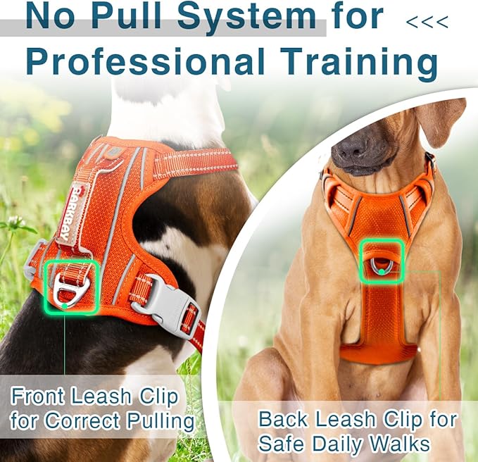 BARKBAY Dog Harness No Pull with ID Tag Pocket - Heavy Duty, Reflective, Easy Control for Large Dogs (Orange,XL)