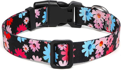 Adjustable Dog Collar with Patterns