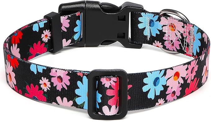 Adjustable Dog Collar with Patterns