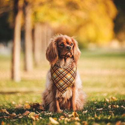 Fall Dog Bandanas 2 Pack