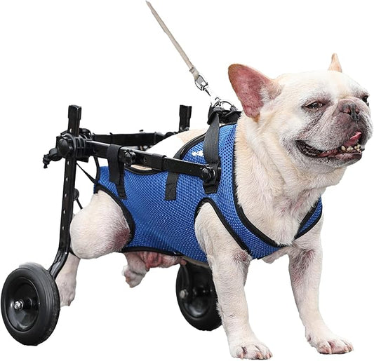 Dog Wheelchair Van. Dog Wheelchair Trolley for rears