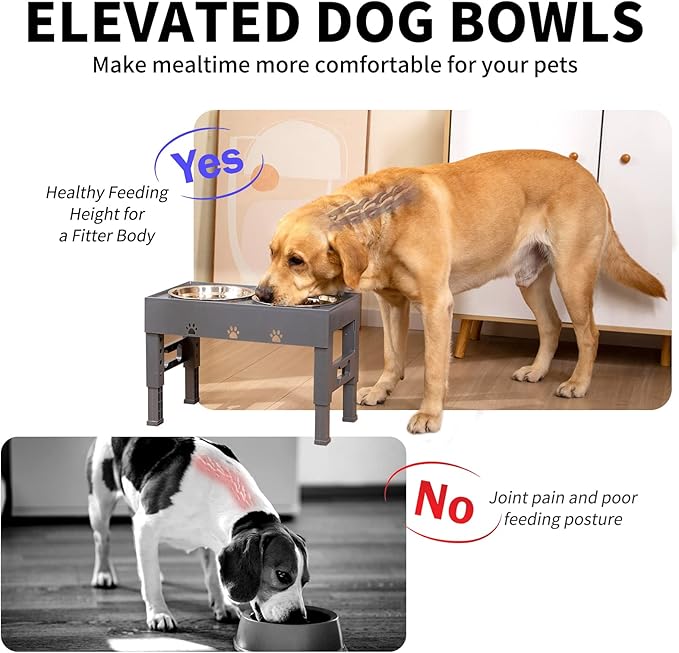 Elevated Dog Bowls, 5 Height Adjustable Raised Dog Bowl Stand with 2 Stainless Steel Dog Food Bowls Non-Slip Dog Feeder for Medium Large Dogs Adjusts to 3.1”, 9”, 10”, 11”, 12”