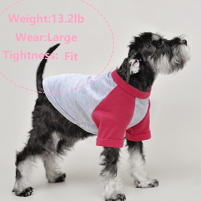 2 Pieces Dog Clothes Dog Shirts for Small