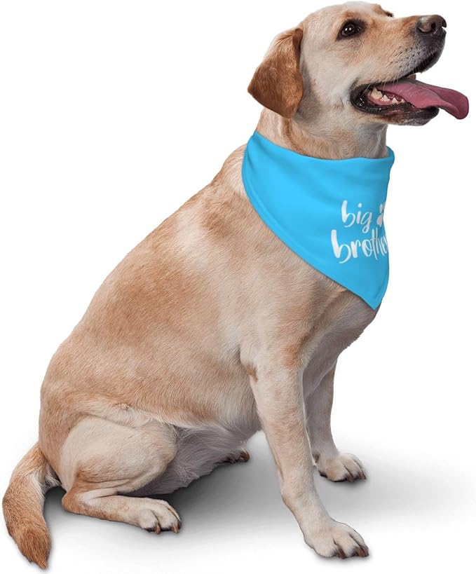 Big Brother Gender Reveal Baby Announcement Dog Bandana