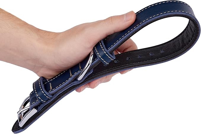 Soft Leather Dog Collar