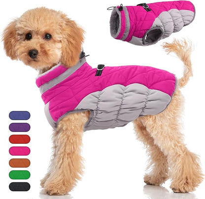Dog Coat