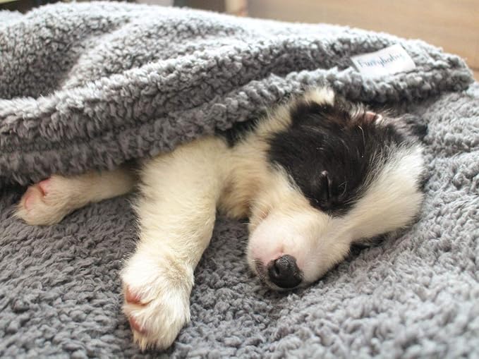 furrybaby Dog Blanket Soft Dog Blankets for Large Dogs Puppy Essentials Washable Sherpa Fleece Cat Blanket 32x40 Inches for Bed Furniture Couch Sofa (Medium