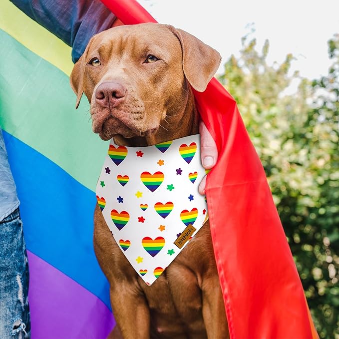 Pride Dog Bandanas 2 Pack