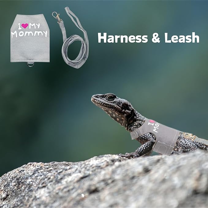 Bearded Dragon Leash and Harness Adjustable - Unique Pattern Lizard Cloth Escape Proof Harness with Leash for Walking Outdoor (Grey)