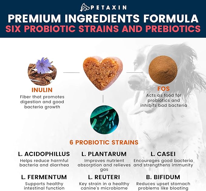 Probiotics for Dogs - 6 Strains with Prebiotics - Supports Digestive and Immune System – Relief for Diarrhea, Bad Breath, Allergies, Gas, Constipation, Hot Spots - Made in USA - 360 Chews