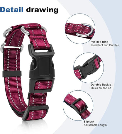 Reflective Martingale Dog Collars. Dog Collar with Quick