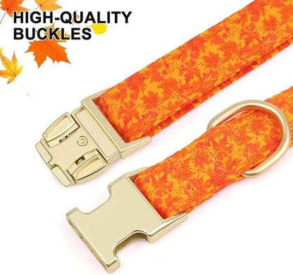 Beirui Cute Girl Dog Collars for Female Dogs